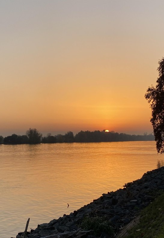 FeWo Eltville Impressionen | &copy; Daniel und Anja Hartmann