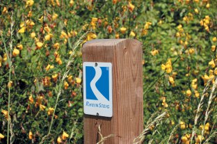 Main trail marking | © Romantischer Rhein Tourismus GmbH Main trail marking | © Romantischer Rhein Tourismus GmbH