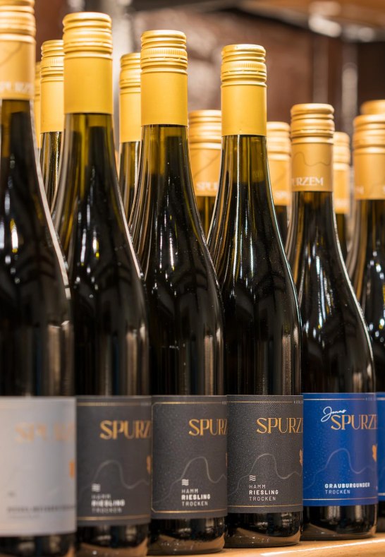 Weinalden_Weinauswahl | © Weingut Spurzem