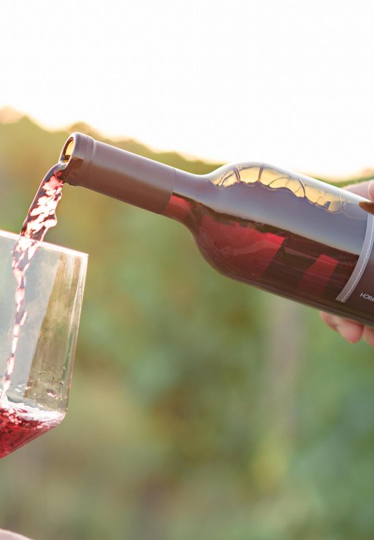 Weingut Eser alles neu-35 | © Weingut Eser Weingut Eser alles neu-35 | © Weingut Eser