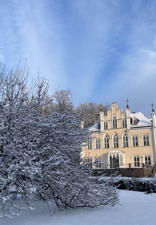 Schlosspark im Winter I | © Stadt Bendorf