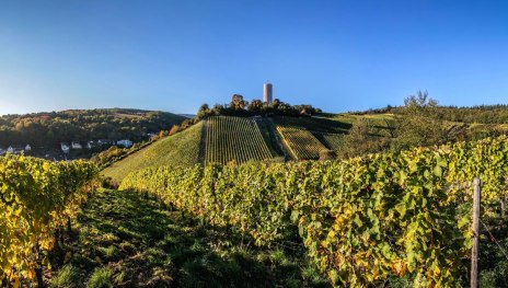 &copy; Christian M&uuml;ringer