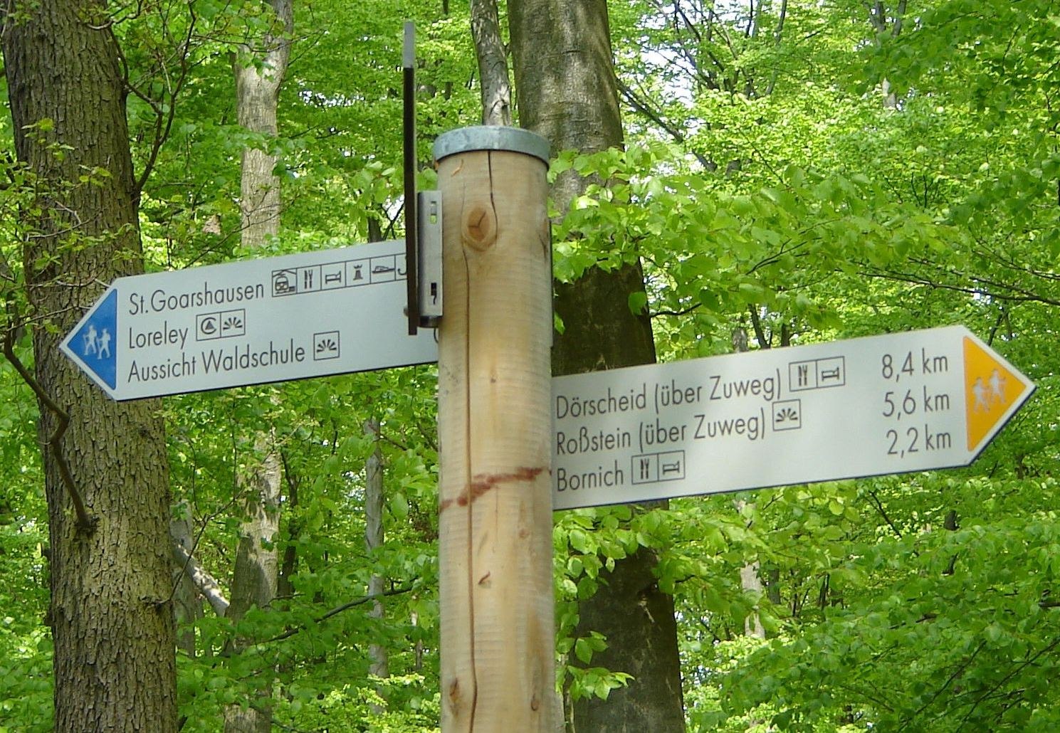 Signpost on the Rheinsteig | © Romantischer Rhein Tourismus GmbH Signpost on the Rheinsteig | © Romantischer Rhein Tourismus GmbH