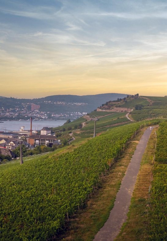 Luftbild (3) | &copy; Thomas Weinsheimer