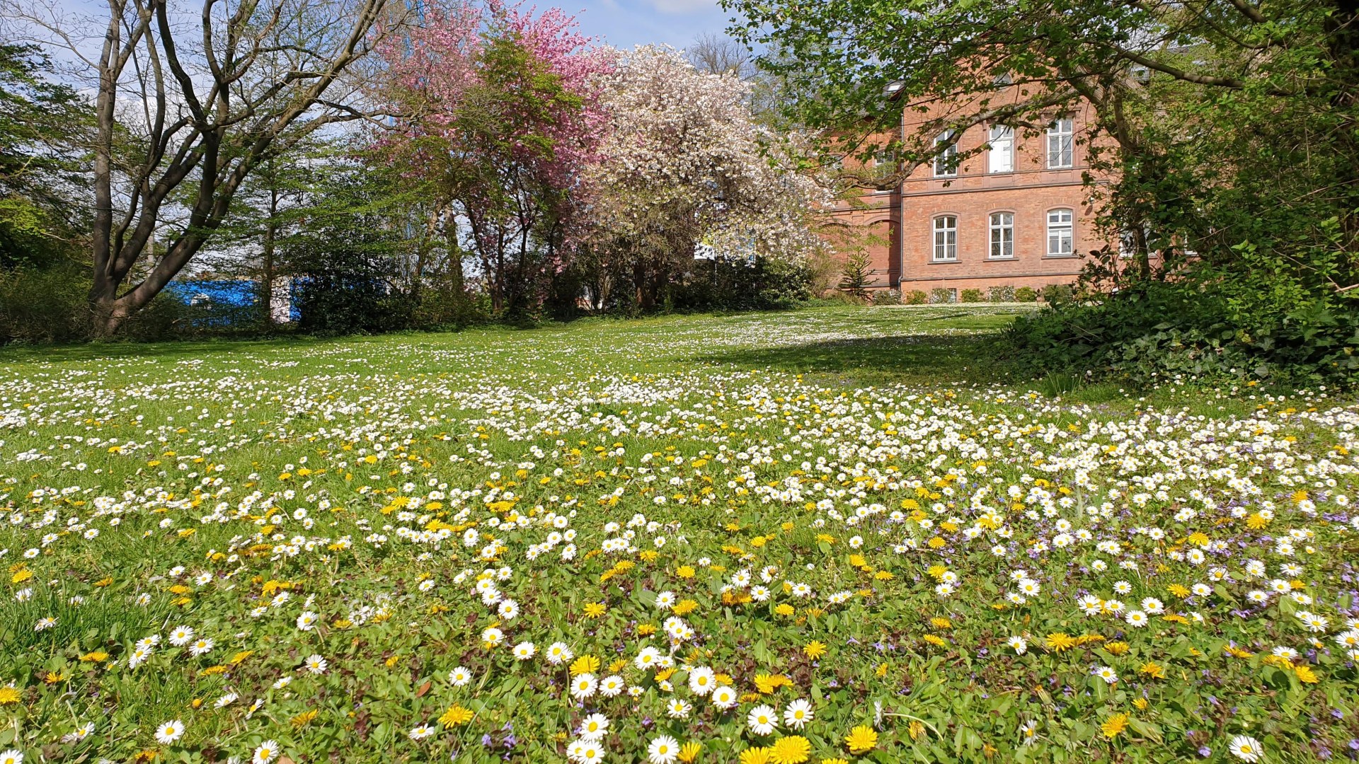 Frühling in der Lehranstalt | © Stadt Geisenheim Frühling in der Lehranstalt | © Stadt Geisenheim