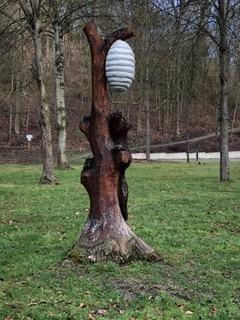 B&auml;r | &copy; Tourist Information Boppard