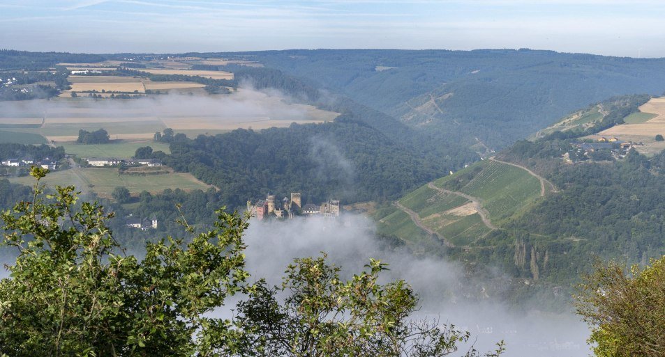 Ausblick D&ouml;rscheid | &copy; Katja S. Verhoeven