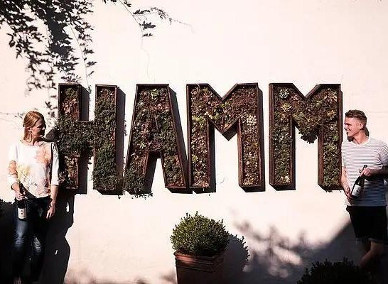 Weingut Hamm3 | © Weingut Hamm Weingut Hamm3 | © Weingut Hamm