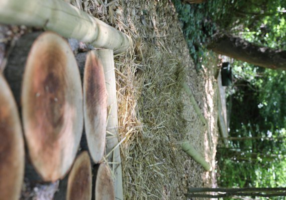 Barfu&szlig;pfad 2 | &copy; GGB Lahnstein