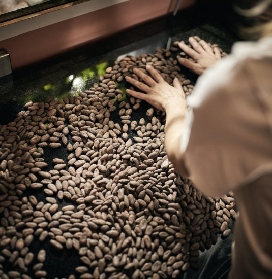 cahua 1 | &copy; Cahua