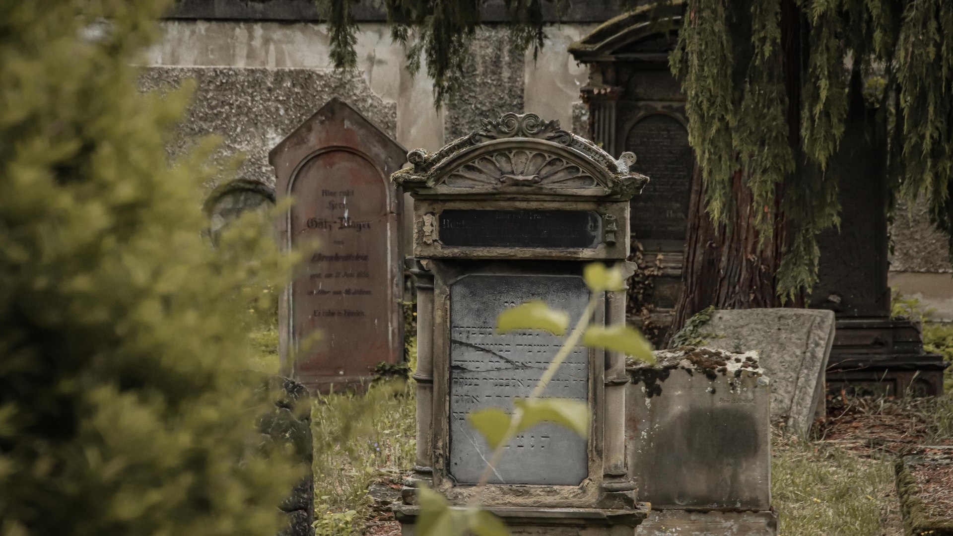 J&uuml;discher Friedhof Koblenz | &copy; Johannes Bruchhof