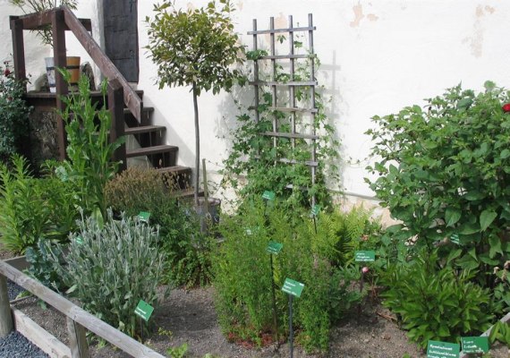 Kr&auml;utergarten | &copy; Deutsche Burgenvereinigung