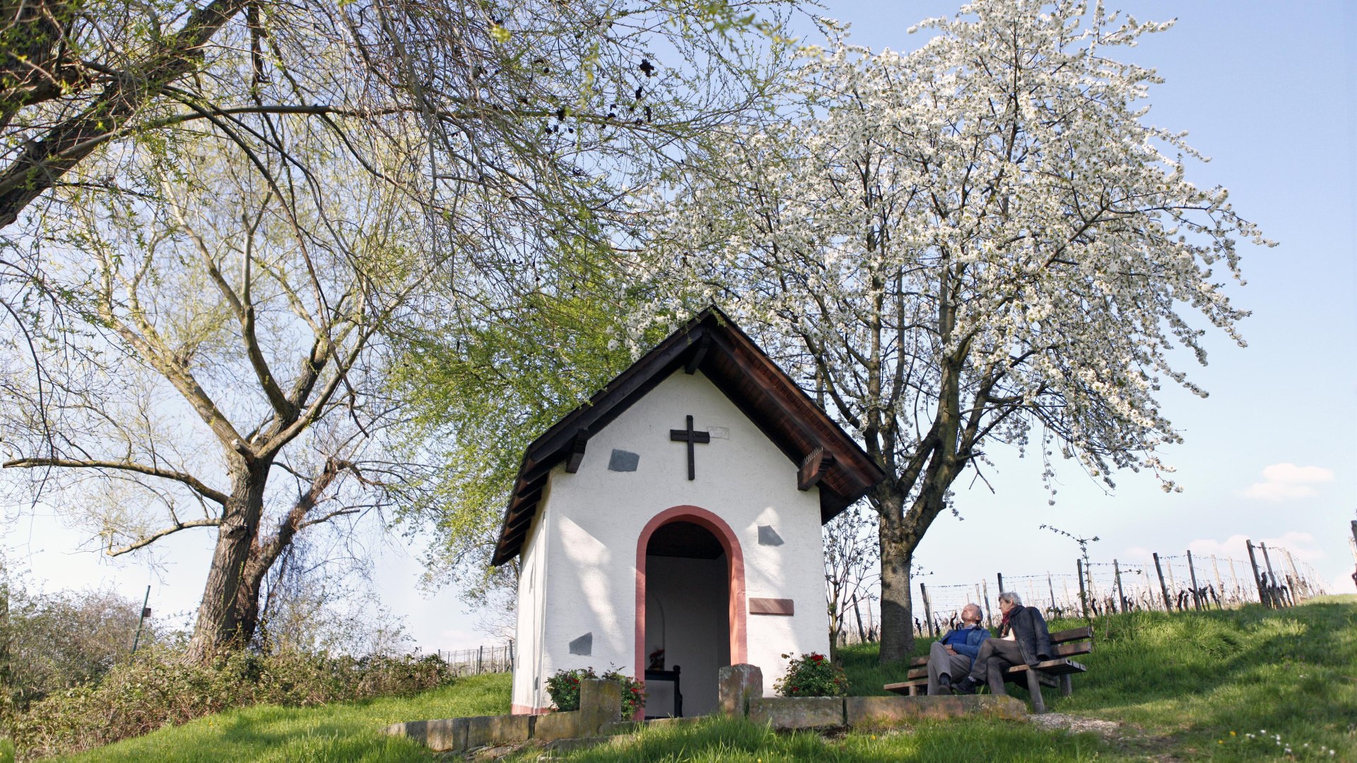 KapelleRielsing Schleife Hattenheim | &copy; DAgmar Rittner