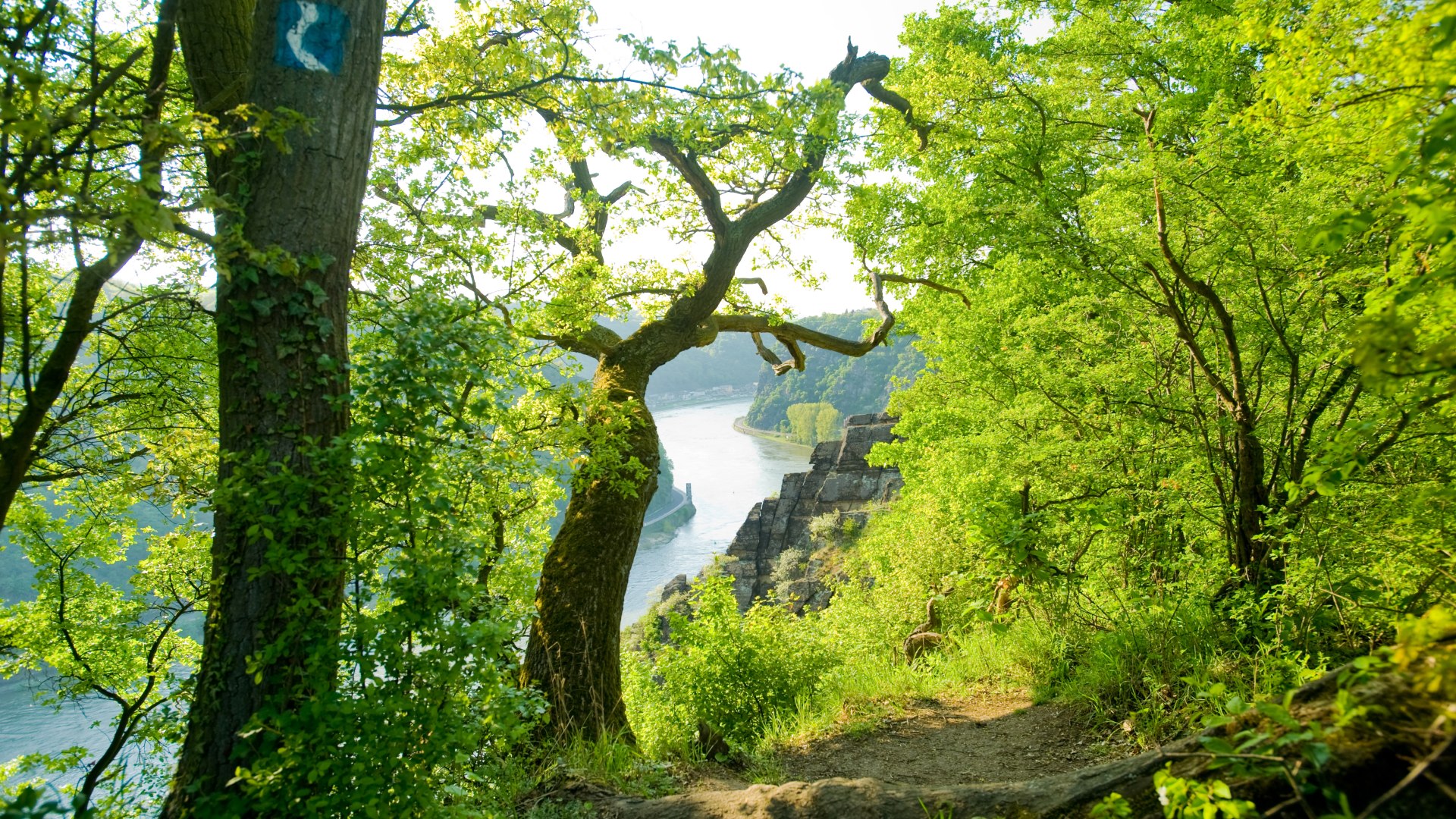 Leiselfeld | © Dominik Ketz / Rheinland-Pfalz Tourismus GmbH Leiselfeld | © Dominik Ketz / Rheinland-Pfalz Tourismus GmbH