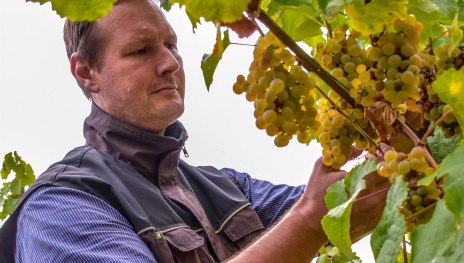 Weingut Kurt Bug | &copy; Yvonne Bug