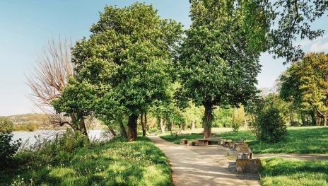 Schlosspark 01 | © Zimpfer Photography Schlosspark 01 | © Zimpfer Photography
