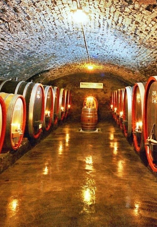 Weingut Martin Klein Weinkeller | © Weingut Martin Klein Weingut Martin Klein Weinkeller | © Weingut Martin Klein