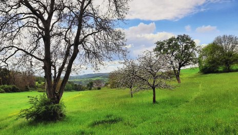 Kur- und Heilwald 01 | © Stadt Lahnstein Kur- und Heilwald 01 | © Stadt Lahnstein