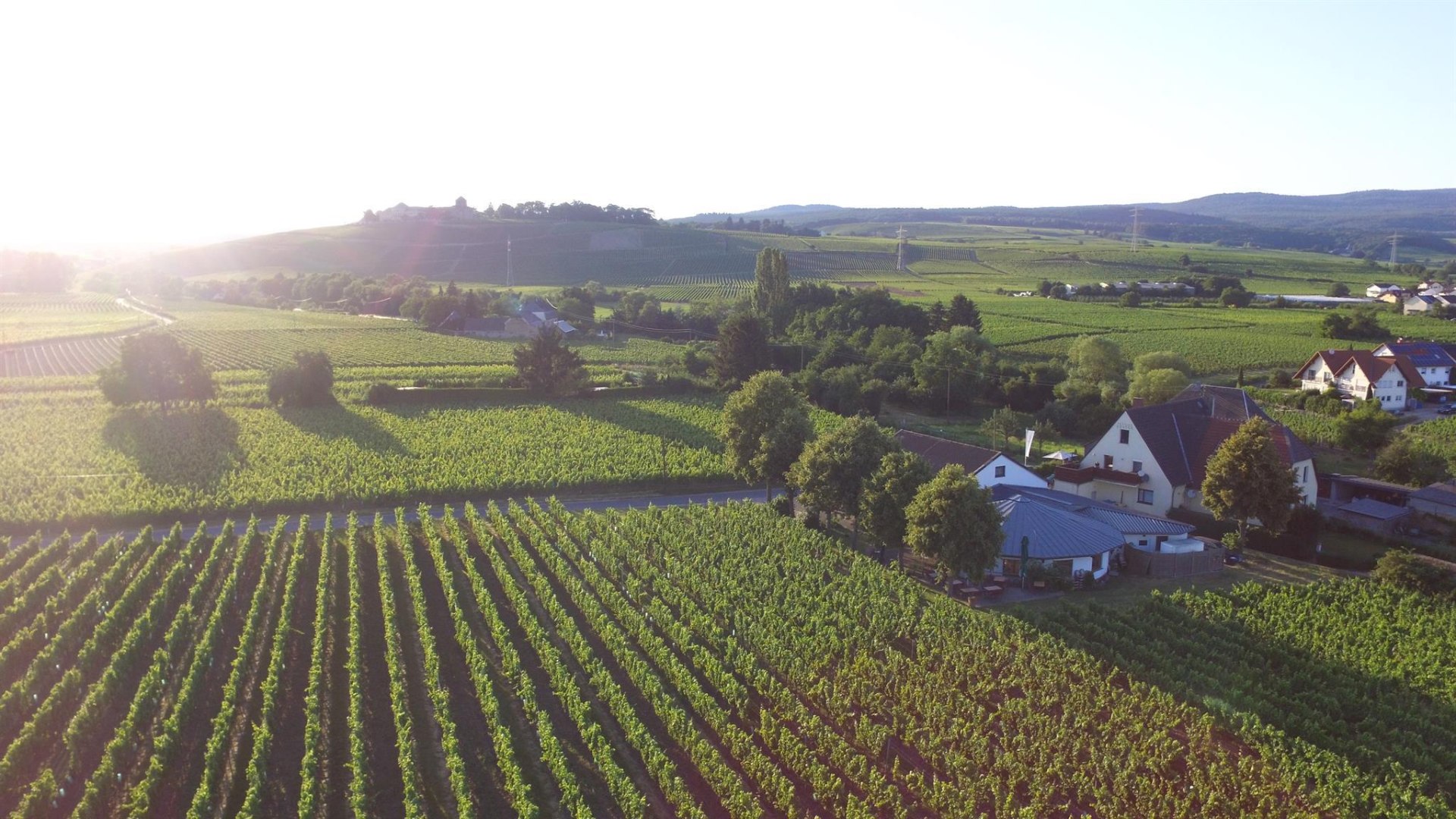Weingut H. Krayer | © Weingut H. Krayer Weingut H. Krayer | © Weingut H. Krayer