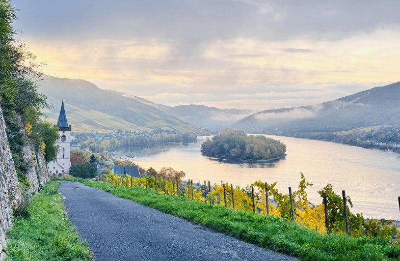 Lorcher Weinberge im November | &copy; Hotel im Schulhaus