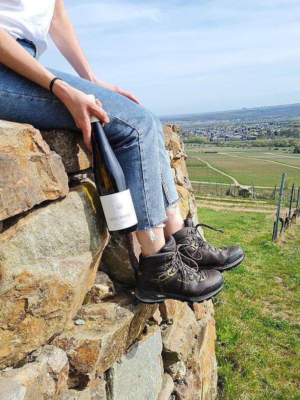 Weinbergswanderung | &copy; Weingut Diefenhardt