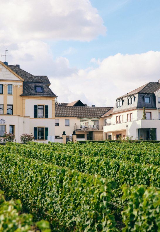 N&Oacute;I_CREW_Jul 21 2022_Weingut_Spreitzer_0051 | &copy; Weingut Spreitzer