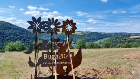 Buga-Blume | &copy; T. Biersch