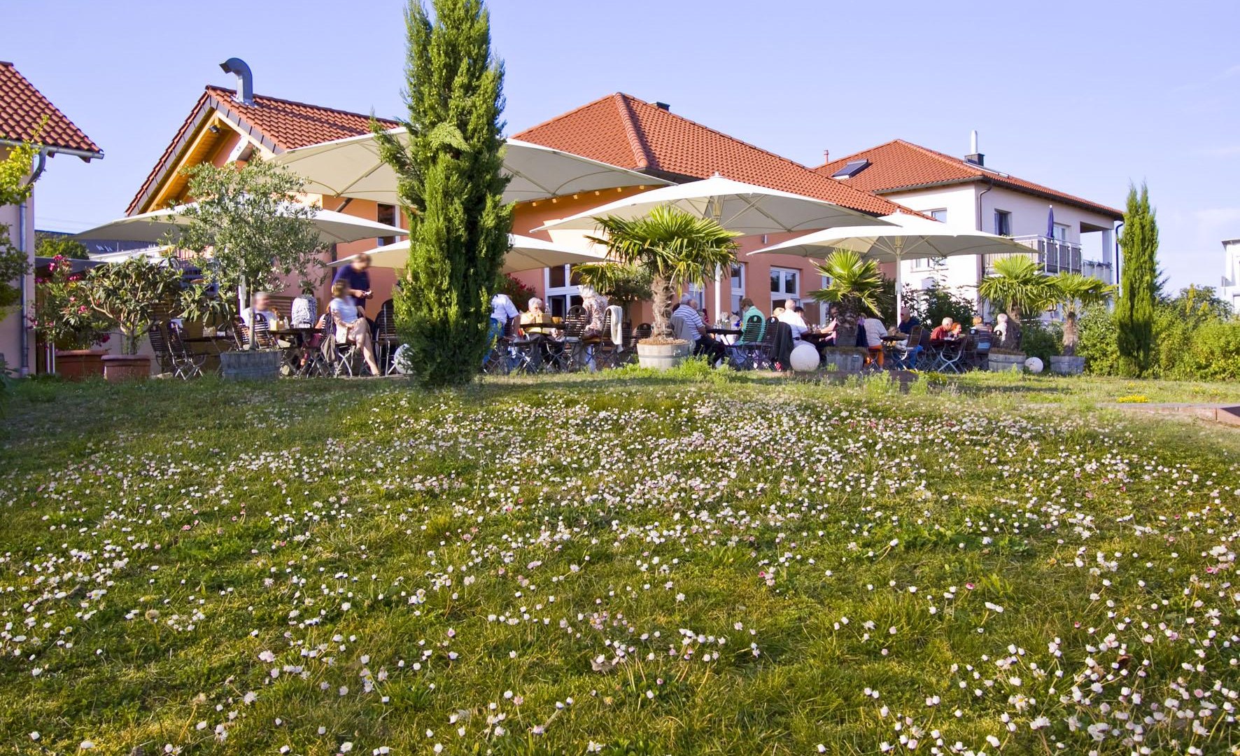 Weinlounge Höhn | © Weingut Höhn Weinlounge Höhn | © Weingut Höhn