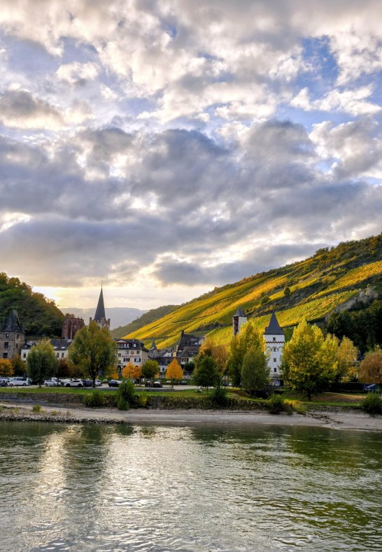 Bacharach in autumn &ndash; Rhine view & vineyards | &copy; Moock