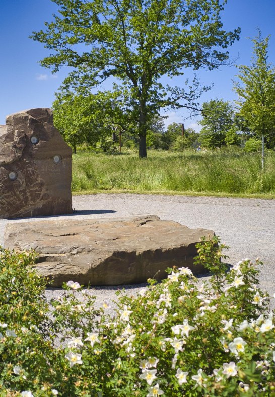 Hörfelsen | © Sebastian Reifferscheid Hörfelsen | © Sebastian Reifferscheid