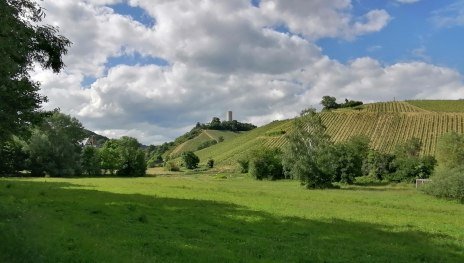 Ruine Scharfenstein und Weinberge | &copy; Anja Wegschimmel, Romantischer Rhein Tourismus GmbH