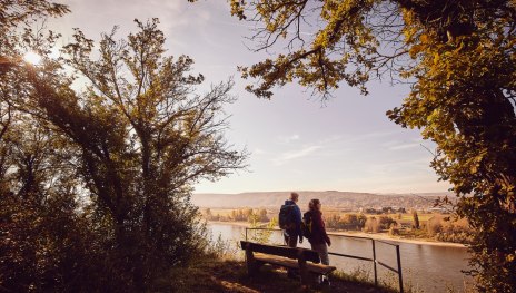 Blick auf den Rhein | &copy; Marco Rothbrust, Mittelrhein