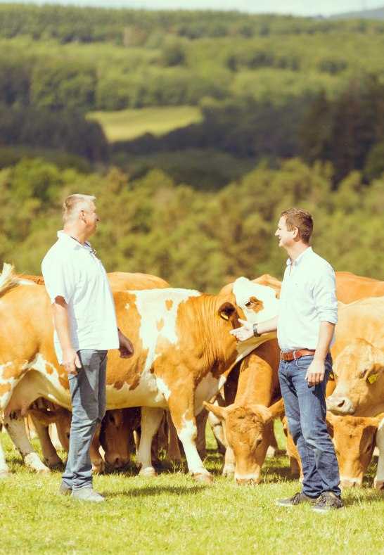 Hof Stahl | &copy; Hof Stahl