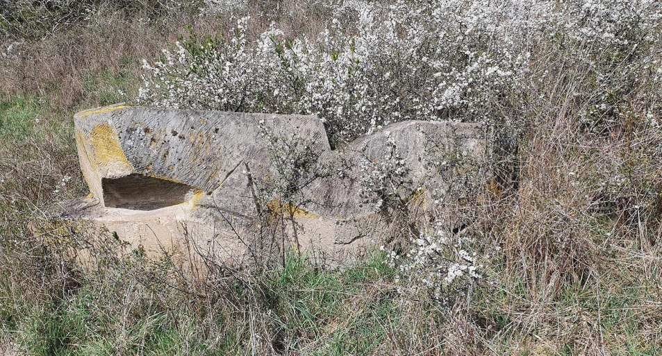 Liegende | &copy; T. Biersch