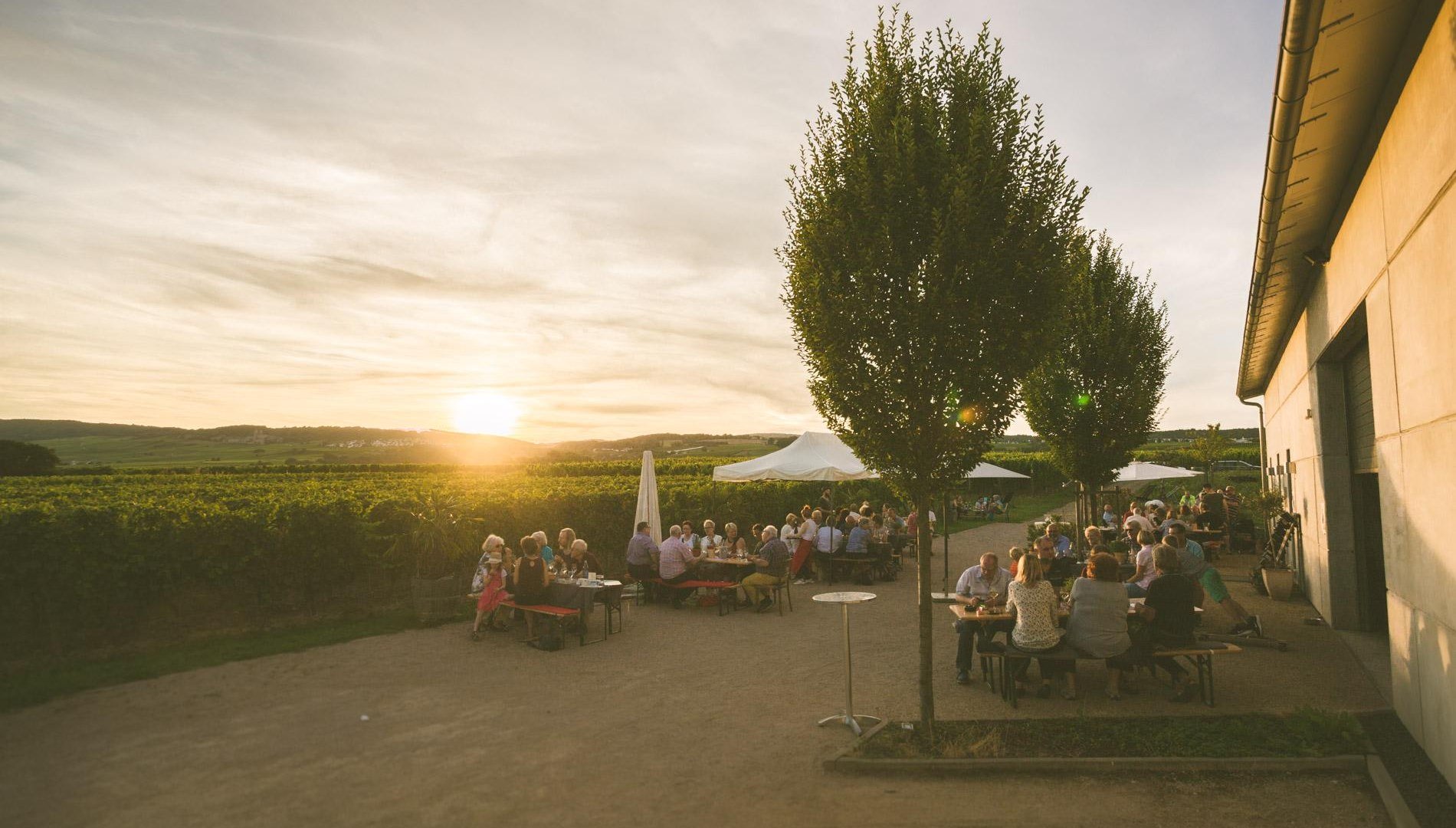 Außenansicht Straußwirtschaft | © Weingut Dillmann Außenansicht Straußwirtschaft | © Weingut Dillmann