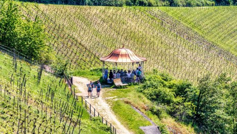 Rotweinlaube in Assmannshausen | © Marlis Steinmetz Rotweinlaube in Assmannshausen | © Marlis Steinmetz