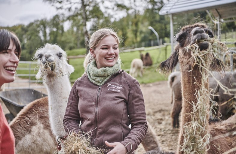 Fütterung Lamas und Alpakas | © HA Hessen Tourismus, Roman Knie