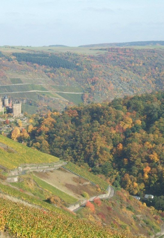 Wanderungen 015 | &copy; Carola Lanius