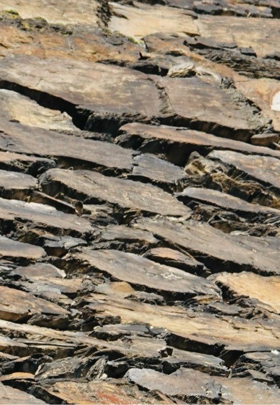 DSC03499 | &copy; AnyaFi