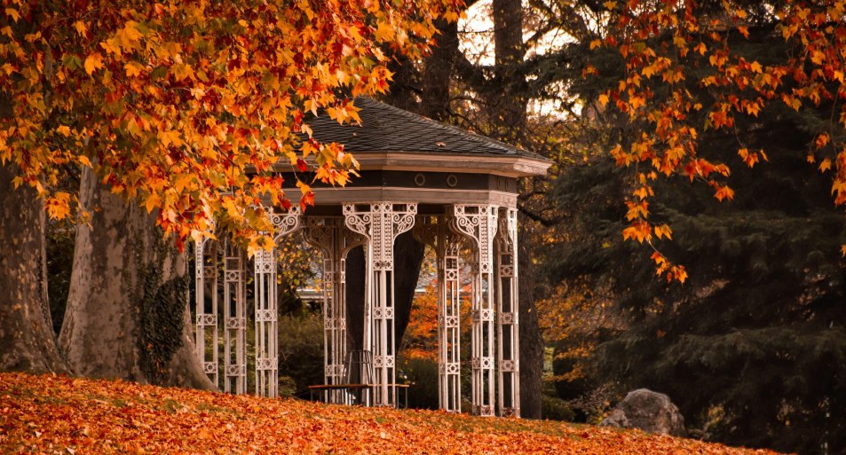 Herbst | © Koblenz-Touristik GmbH, Johannes Bruchhof Herbst | © Koblenz-Touristik GmbH, Johannes Bruchhof