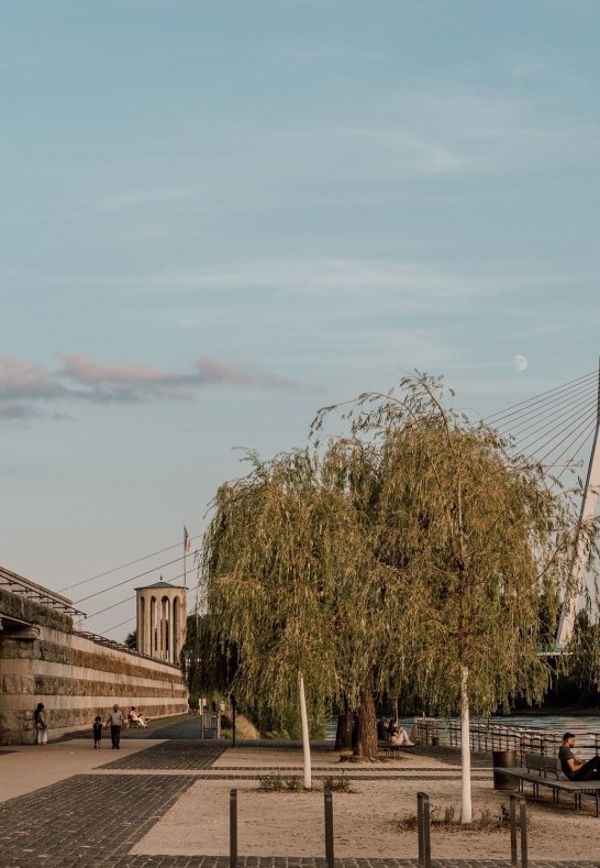 Deich mit Pegelturm und Rheinbrücke | © Zimpfer_Photography Deich mit Pegelturm und Rheinbrücke | © Zimpfer_Photography