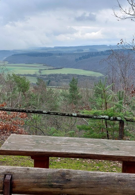 Picknickbank am Waldlehrpfad | &copy; T. Biersch