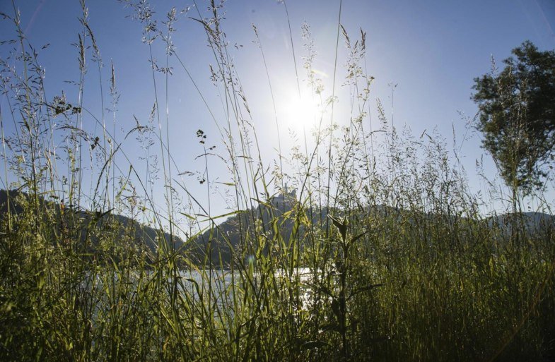 Ausblick Marksburg | &copy; Ferienwohnung Marksburg-Panorama