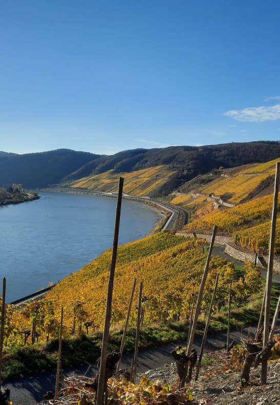 619eae20-8455-4150-8ce6-3d0a0af0c9e9 | &copy; Arnoldi