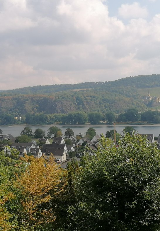Aussicht vom M&auml;rchenwald | &copy; Tourist-Information Bad Breisig