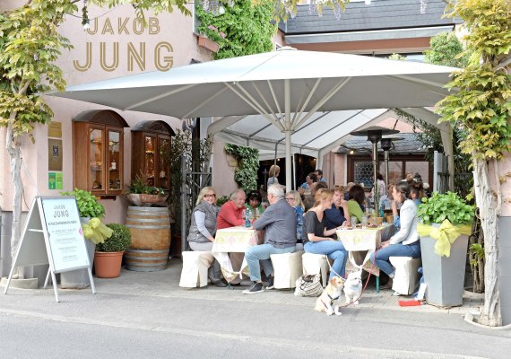 Gutsausschank Weingut Jakob Jung | &copy; Weingut Jakob Jung
