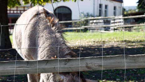 Wacholderhof I | &copy; Marc Nebel