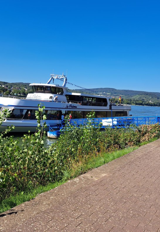 Vomfell3 | &copy; Birgit Biller