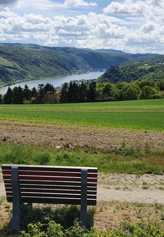 Niederburger Heide Liegebank | &copy; TI Hunsr&uuml;ck-Mittelrhein