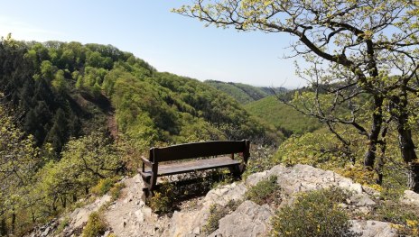 Traumschleife Hasenkammer | &copy; Tourist Information Boppard, Romantischer Rhein Tourismus GmbH